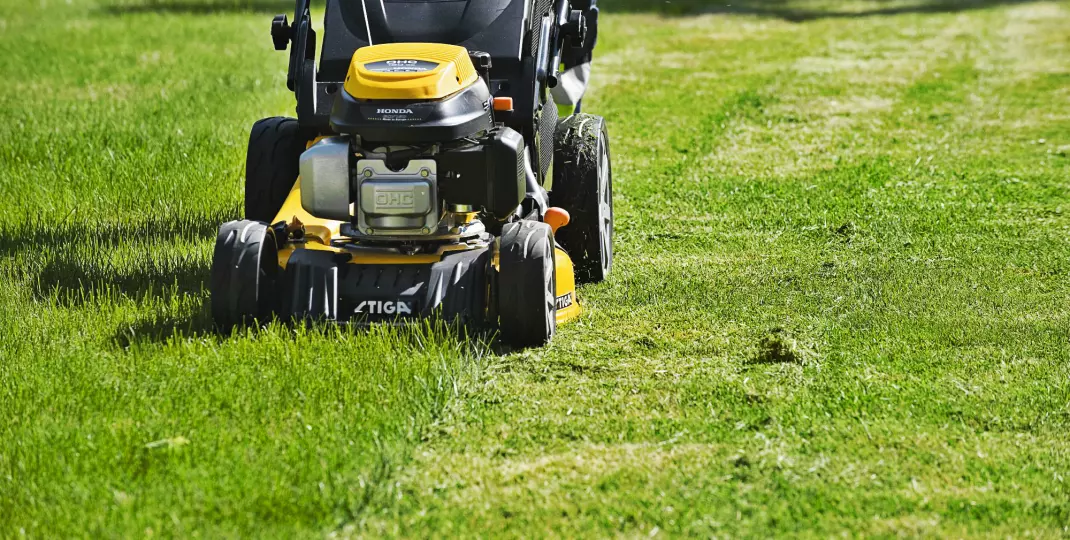 Trawnik po zimie: 10 najważniejszych prac pielęgnacyjnych